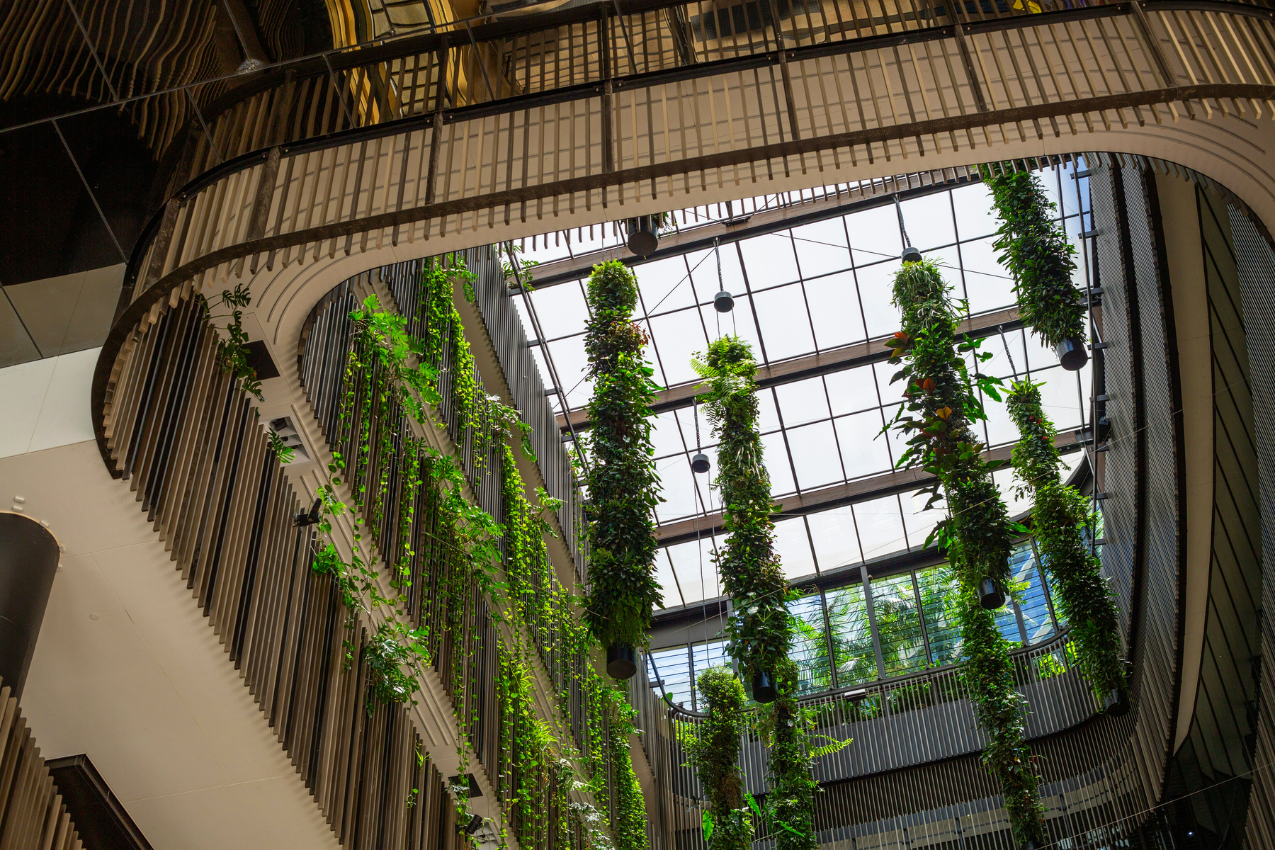 Q&A session, expert panel, knowledge sharing, collaborative learning, financial advice